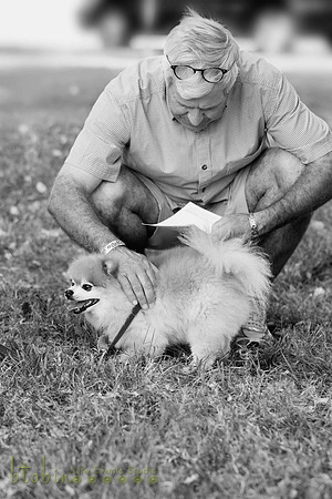 Blessing of the Animals 2013