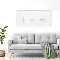 Serene Swans